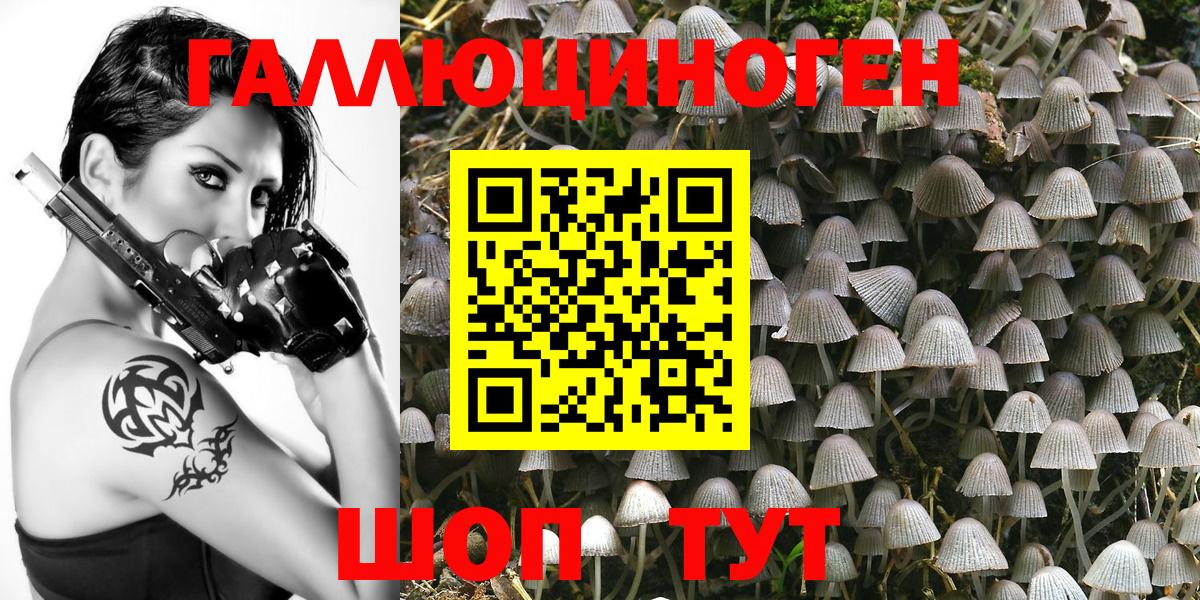 Галлюциногенные грибы MAGIC MUSHROOMS  Вход с VPN  Шадринск  Галлюциногенные грибы MAGIC MUSHROOMS 